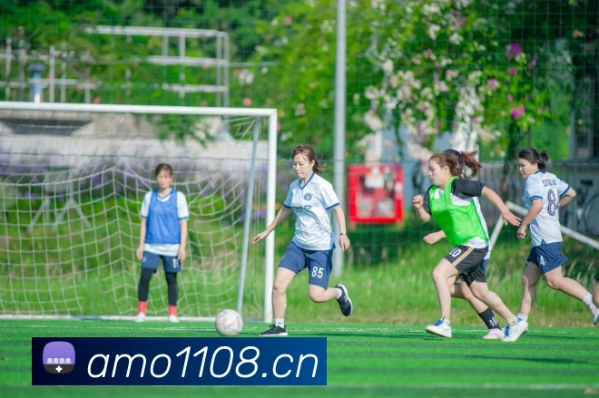 半岛网页版登录入口APP 高清赛事图